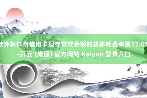 欧洲杯体育信用卡现存贷款余额的总体耗费率是17.6%-开云 (集团) 官方网站 Kaiyun 登录入口